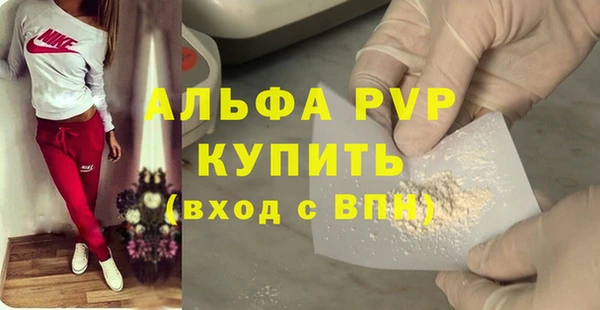 PSILOCYBIN Гусев