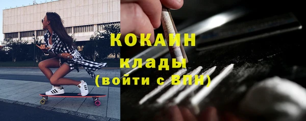 PSILOCYBIN Гусев