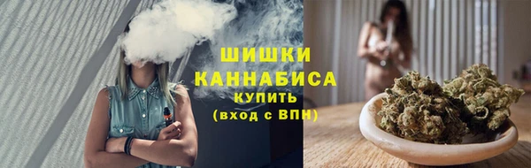 марки lsd Гусиноозёрск