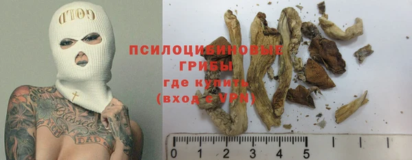 спиды Гусь-Хрустальный