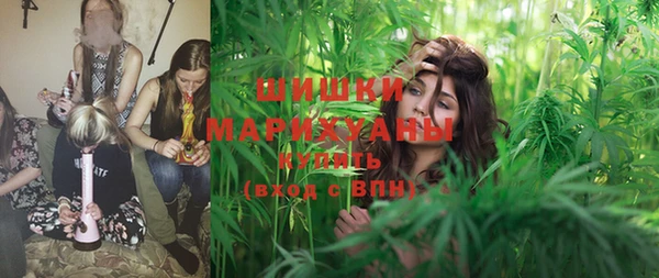 PSILOCYBIN Гусев