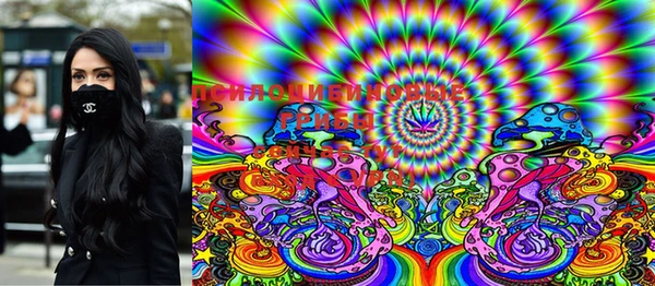 PSILOCYBIN Гусев