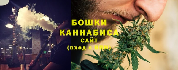 PSILOCYBIN Гусев