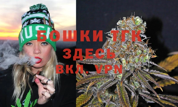 PSILOCYBIN Гусев