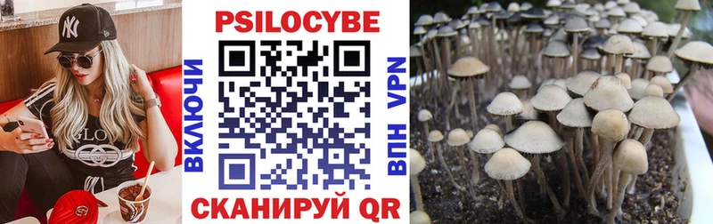 Галлюциногенные грибы GOLDEN TEACHER  Сольвычегодск 